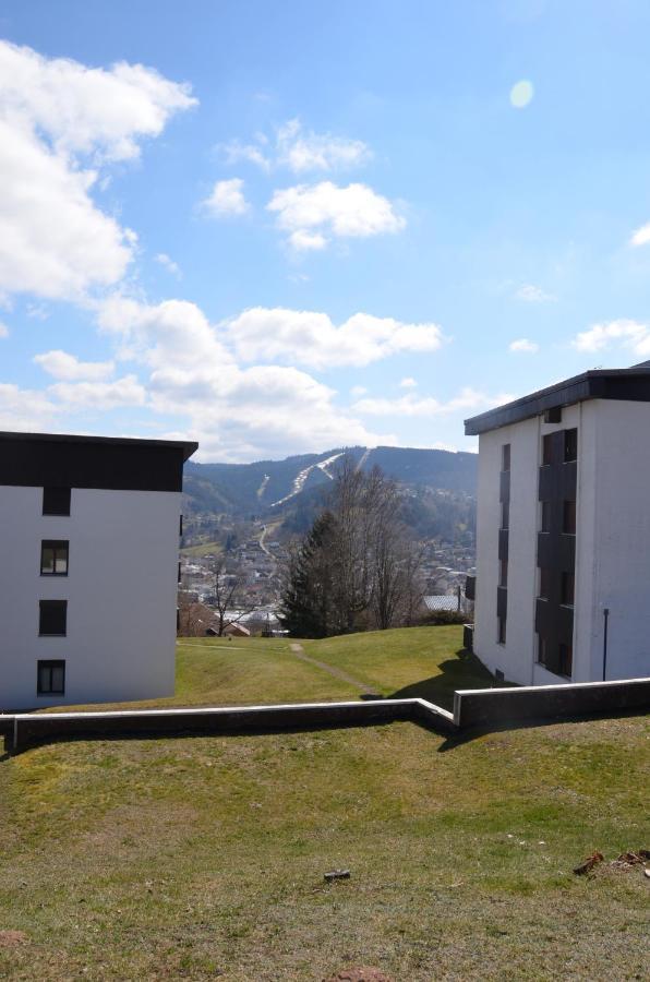 Gite Les Dryades Gérardmer Εξωτερικό φωτογραφία