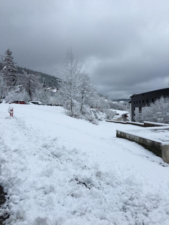 Gite Les Dryades Gérardmer Εξωτερικό φωτογραφία
