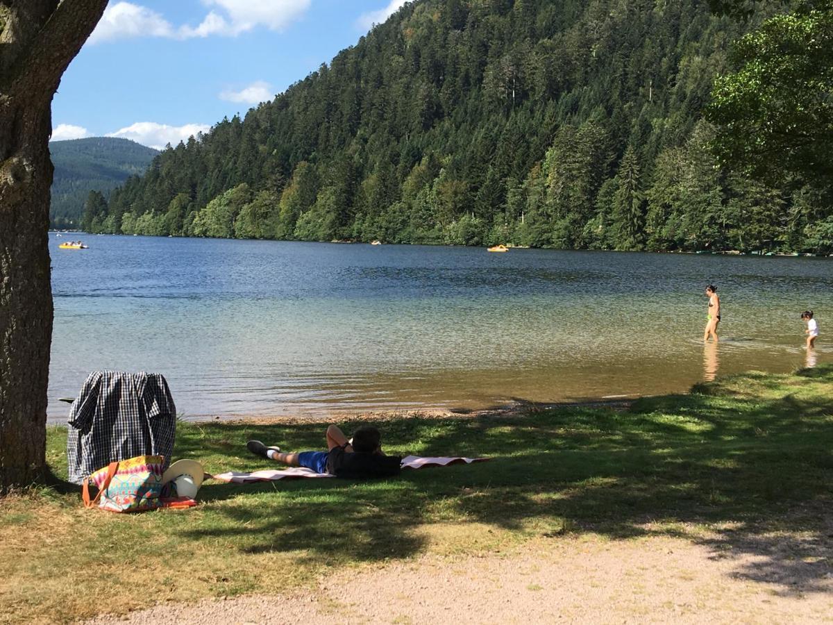 Gite Les Dryades Gérardmer Εξωτερικό φωτογραφία