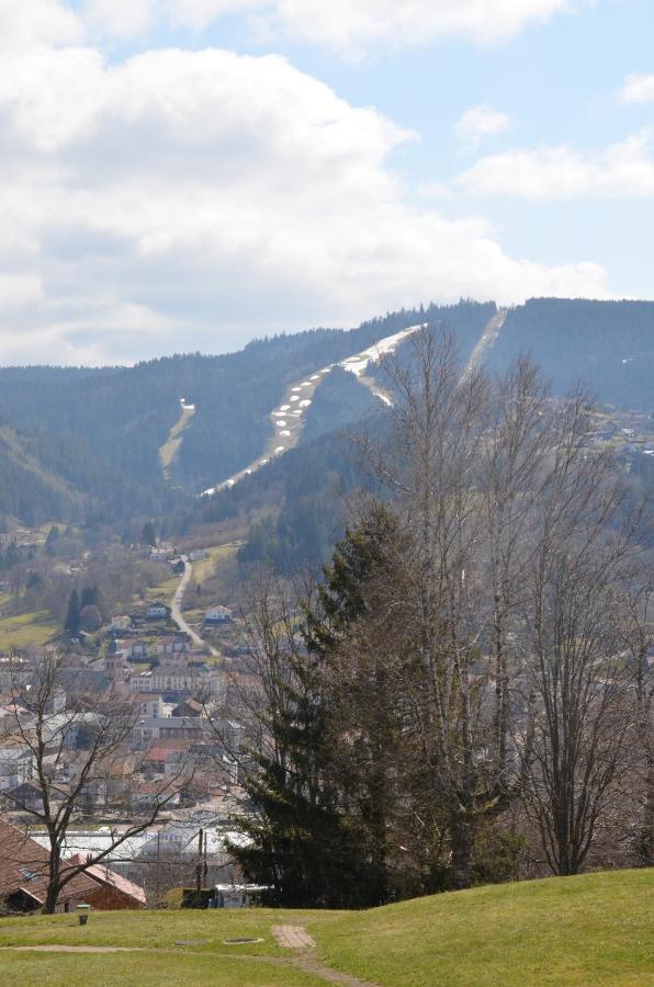 Gite Les Dryades Gérardmer Εξωτερικό φωτογραφία